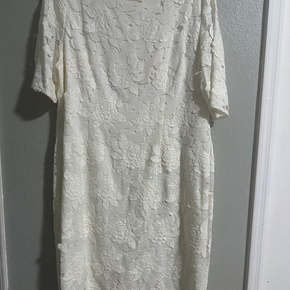 Elegant Lace Long Sleeve Dress in Cream